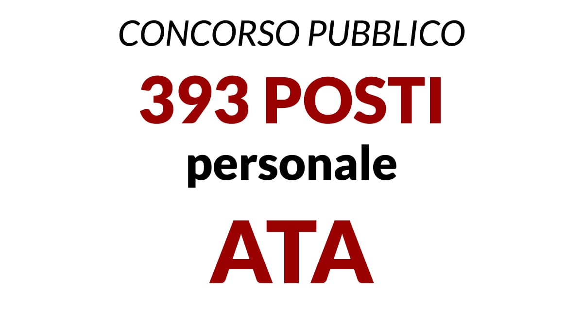 393 posti per diplomati Personale  ATA collaboratore scolastico