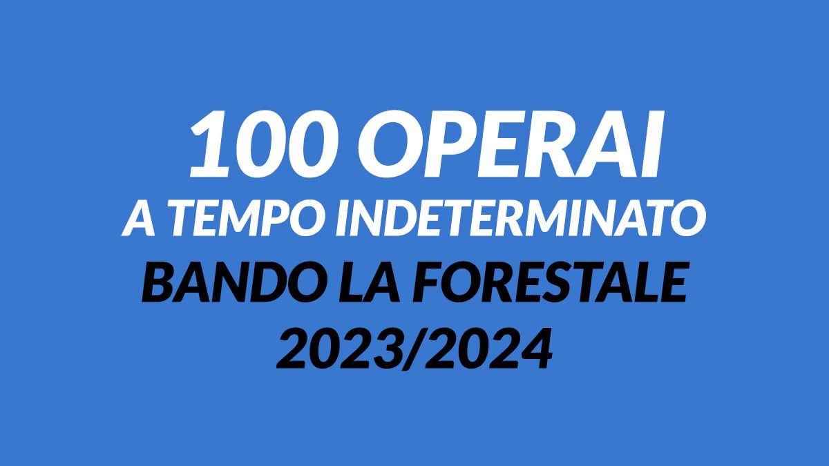 CONCORSO FORESTALE 2023, 100 POSTI DI LAVORO A TEMPO INDETERMINATO