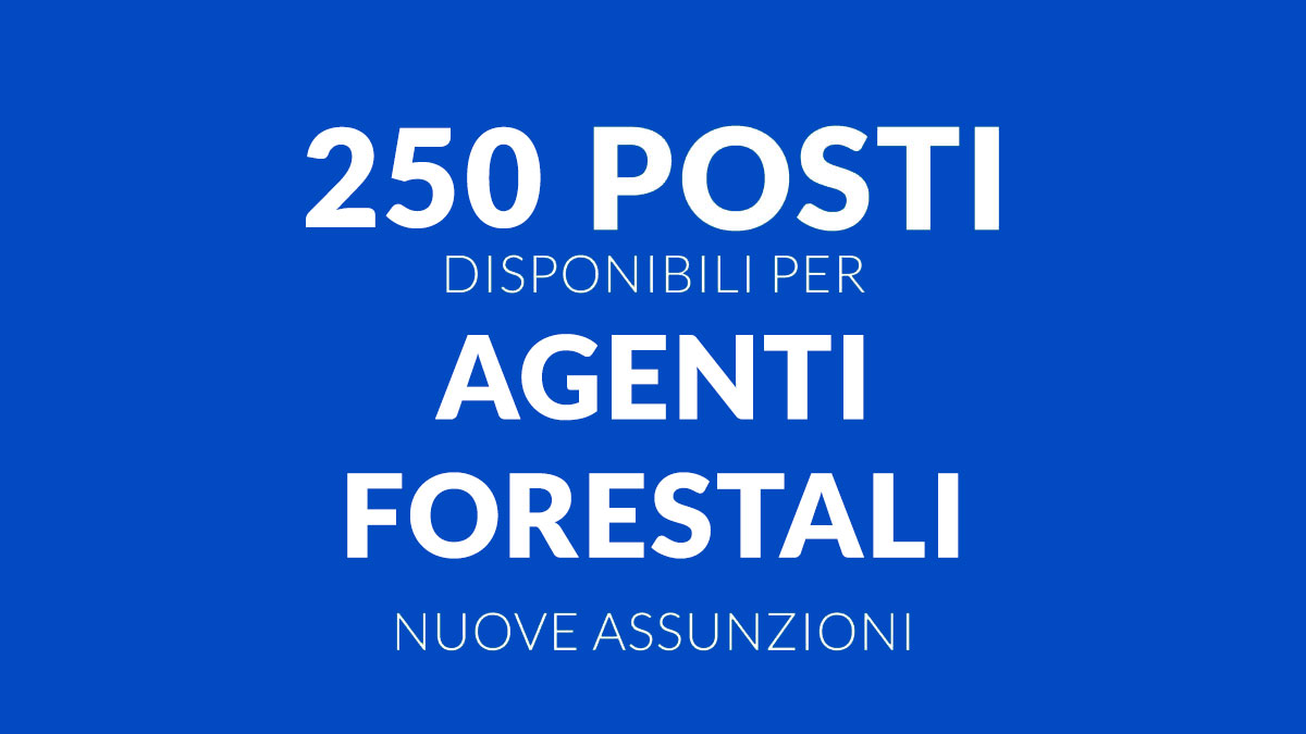 250 posti Concorso Pubblico Forestale 2025 per Agenti Forestali con Diploma