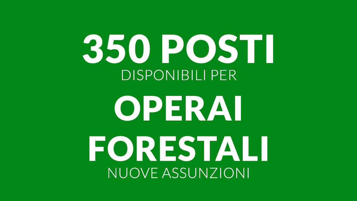 350 posti disponibili per OPERAI FORESTALI nuove assunzioni 2025 2027, dettagli e requisiti