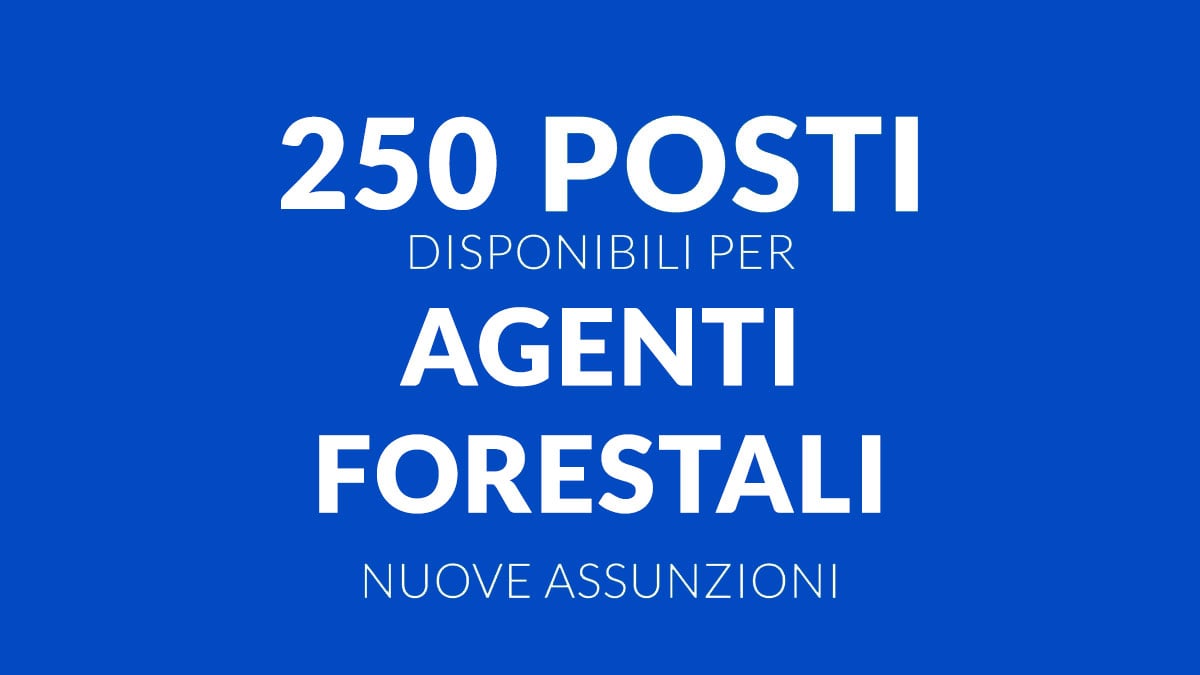 250 posti Concorso Pubblico Forestale 2025 per Agenti Forestali con Diploma