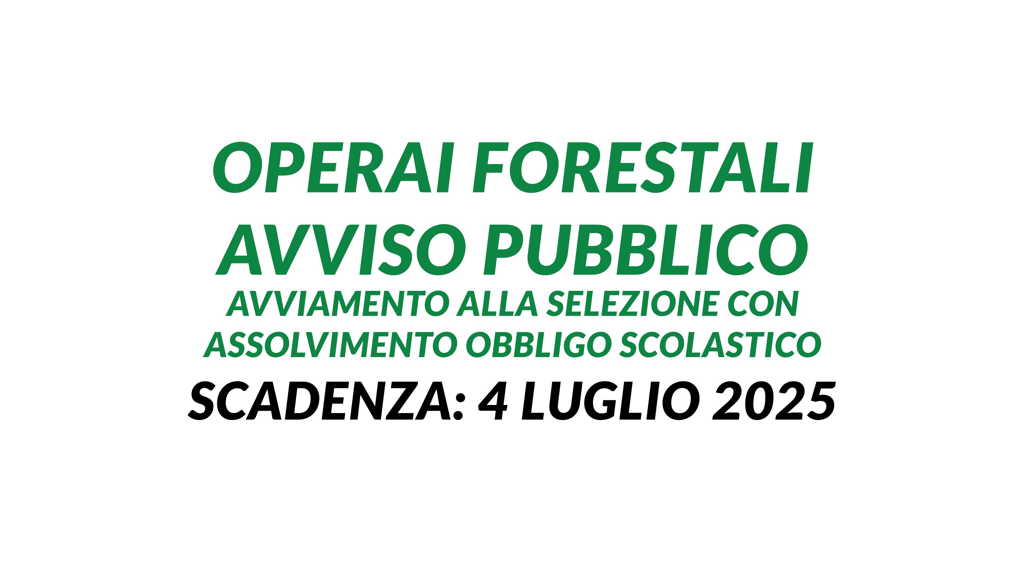OPERAI FORESTALI avviso pubblico 2025 avviamento alla selezione con assolvimento obbligo scolastico