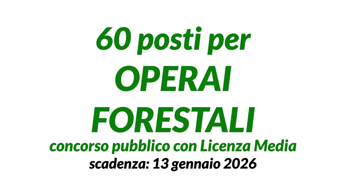 60 posti per OPERAI FORESTALI concorso pubblico 2026 con Licenza Media, ecco domanda e requisiti