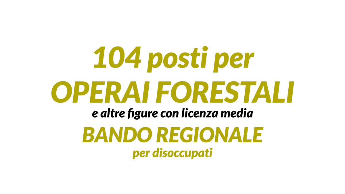 104 posti per OPERAI FORESTALI e altre figure con licenza media BANDO REGIONALE per disoccupati