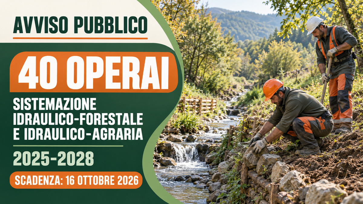 40 OPERAI PER I LAVORI DI SISTEMAZIONE IDRAULICO-FORESTALE E IDRAULICO-AGRARIA 2025-2028 AVVISO PUBBLICO 2026, BANDO COMPLETO