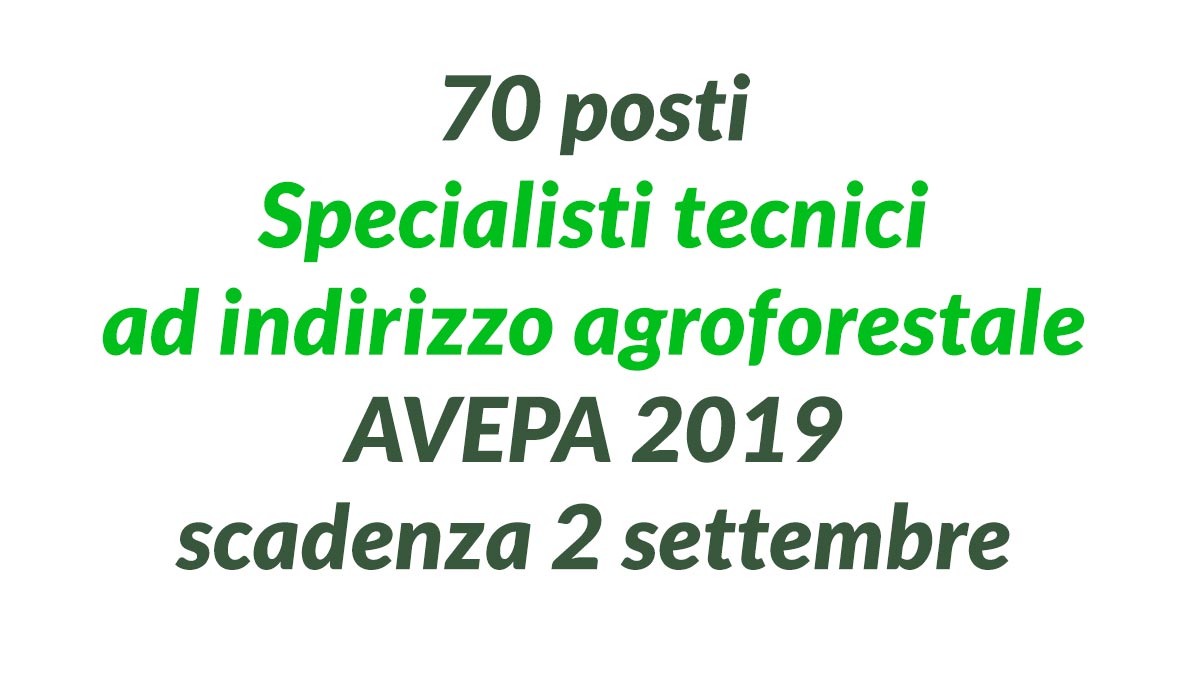 70 posti Specialisti tecnici ad indirizzo agroforestale CONCORSO PUBBLICO AVEPA 2019