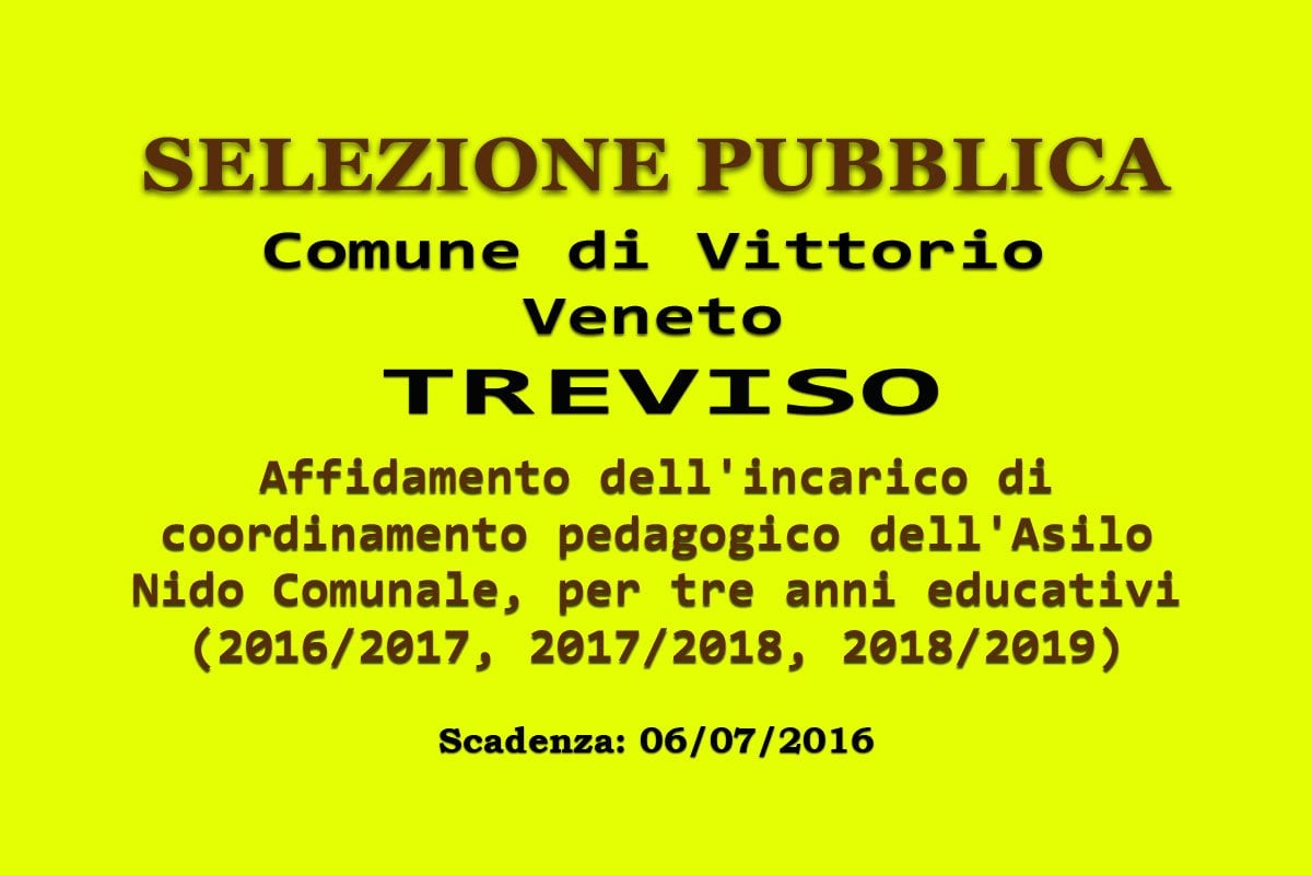 Comune di VITTORIO VENETO (TV): affidamento dell'incarico di coordinamento pedagogico dell'Asilo Nido Comunale